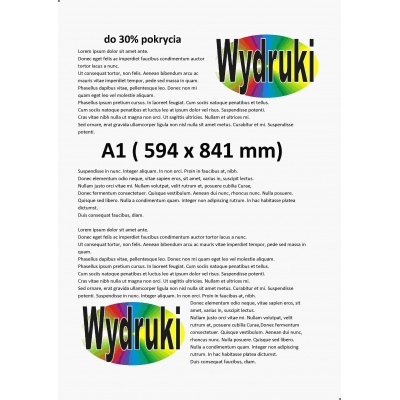 Ksero A1 (594 x 841 mm) kolorowy